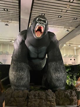 「科学漫画サバイバル」シリーズ 絶体絶命！？キミたちのサバイバルに投稿された画像（2023/8/16）