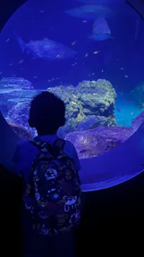 横浜・八景島シーパラダイスに投稿された画像（2023/8/16）