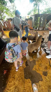 横浜・八景島シーパラダイスに投稿された画像（2023/8/16）