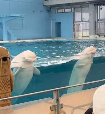 横浜・八景島シーパラダイスに投稿された画像（2023/8/16）