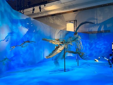 DinoScience 恐竜科学博 2023@TOKYO MIDTOWNに投稿された画像（2023/8/16）