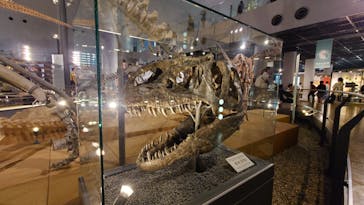 福井県立恐竜博物館に投稿された画像（2023/8/16）