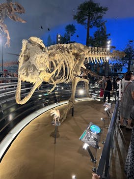 福井県立恐竜博物館に投稿された画像（2023/8/16）