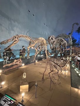 福井県立恐竜博物館に投稿された画像（2023/8/16）