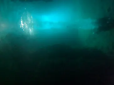 武藤潜水に投稿された画像（2023/8/16）