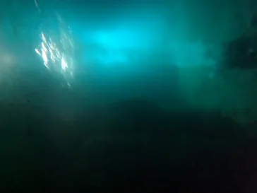 武藤潜水に投稿された画像（2023/8/16）