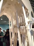 ガウディとサグラダ・ファミリア展 （東京国立近代美術館）に投稿された画像（2023/8/16）