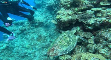 青の洞窟専門店　沖縄ダイビングショップ和に投稿された画像（2023/8/16）