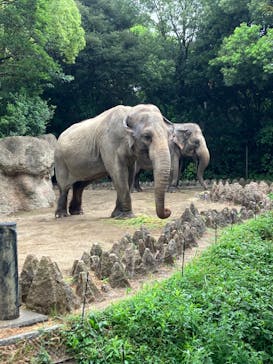 到津の森公園に投稿された画像（2023/8/16）