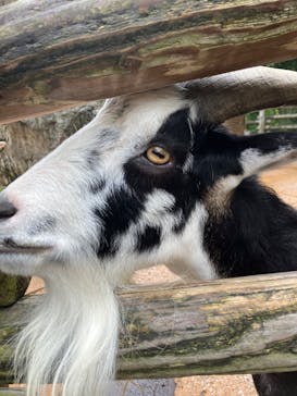 到津の森公園に投稿された画像（2023/8/16）