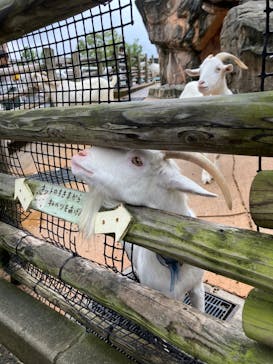 到津の森公園に投稿された画像（2023/8/16）