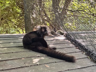 長崎バイオパークに投稿された画像（2023/8/16）