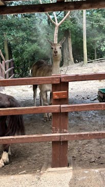 長崎バイオパークに投稿された画像（2023/8/16）