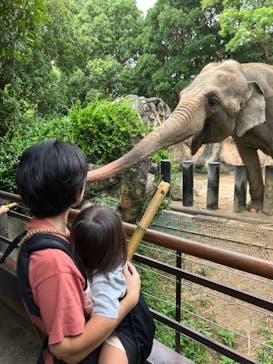 到津の森公園に投稿された画像（2023/8/16）