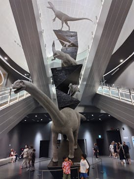 福井県立恐竜博物館に投稿された画像（2023/8/16）