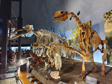 福井県立恐竜博物館に投稿された画像（2023/8/16）