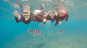 武藤潜水に投稿された画像（2023/8/16）