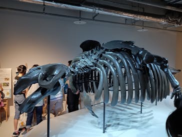 AOAO SAPPOROに投稿された画像（2023/8/16）