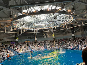 マクセル アクアパーク品川に投稿された画像（2023/8/16）