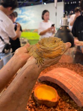 NARA IKIMONO MUSEUMに投稿された画像（2023/8/16）