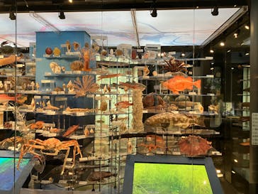 国立科学博物館に投稿された画像（2023/8/16）