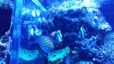 マクセル アクアパーク品川に投稿された画像（2023/8/16）