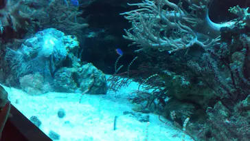 マクセル アクアパーク品川に投稿された画像（2023/8/16）