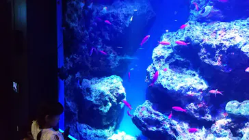 マクセル アクアパーク品川に投稿された画像（2023/8/16）