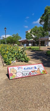 淡路ファームパーク イングランドの丘に投稿された画像（2023/8/16）