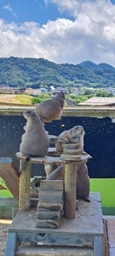 淡路ファームパーク イングランドの丘に投稿された画像（2023/8/16）