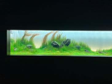 AOAO SAPPOROに投稿された画像（2023/8/16）