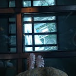 東京スカイツリーに投稿された画像（2023/8/16）