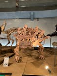 福井県立恐竜博物館に投稿された画像（2023/8/16）