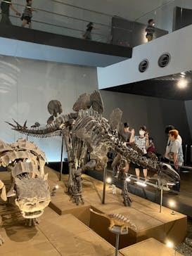 福井県立恐竜博物館に投稿された画像（2023/8/16）