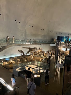 福井県立恐竜博物館に投稿された画像（2023/8/16）