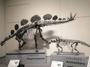 大阪市立自然史博物館に投稿された画像（2023/8/16）