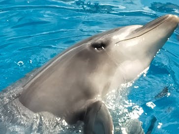 マリンワールド海の中道に投稿された画像（2023/8/16）