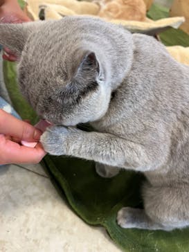 Moff animal world BIGHOPガーデンモール印西店に投稿された画像（2023/8/16）