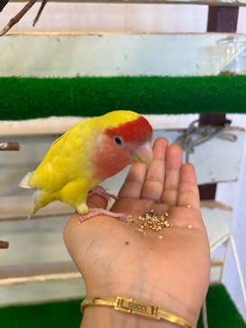 Moff animal world BIGHOPガーデンモール印西店に投稿された画像（2023/8/16）