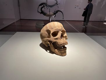 あべのハルカス美術館に投稿された画像（2023/8/16）