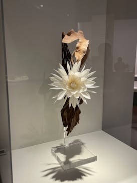 あべのハルカス美術館に投稿された画像（2023/8/16）