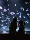 サンシャイン水族館に投稿された画像（2023/8/16）