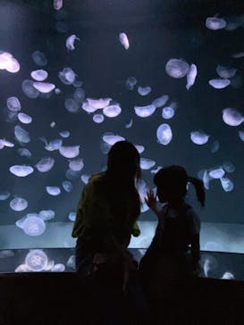 サンシャイン水族館に投稿された画像（2023/8/16）