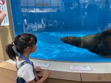 サンシャイン水族館に投稿された画像（2023/8/16）