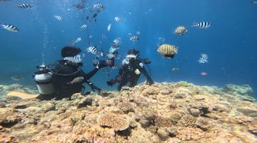 青の洞窟専門店　沖縄ダイビングショップ和に投稿された画像（2023/8/16）