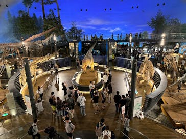 福井県立恐竜博物館に投稿された画像（2023/8/16）