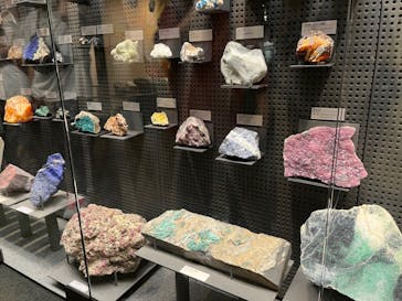 福井県立恐竜博物館に投稿された画像（2023/8/16）