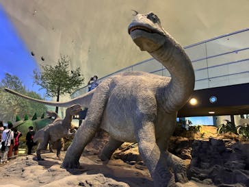 福井県立恐竜博物館に投稿された画像（2023/8/16）