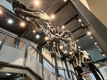 福井県立恐竜博物館に投稿された画像（2023/8/16）