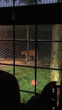 那須サファリパークに投稿された画像（2023/8/16）